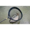 Drennan Landing Net, Speedex Carp