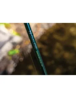 Guru N-Gauge Specimen Duel Tip 12"1.75Lb